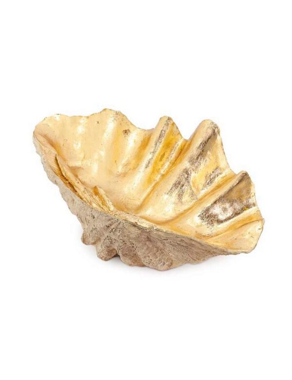TRIDACNA MED -  GOLD - Image 1