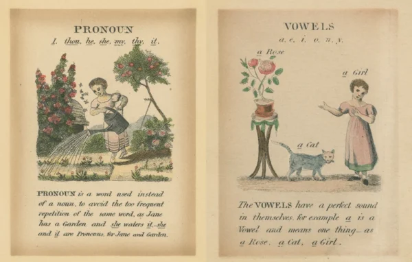 John Derian - The Picture Book Collection - Image 4