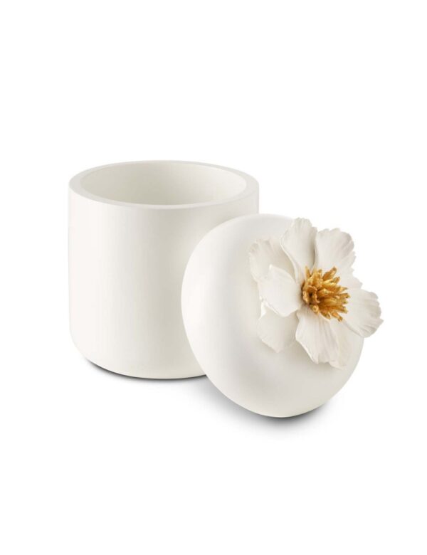 Box Peony - Image 2