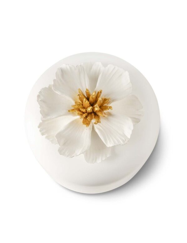 Box Peony - Image 3