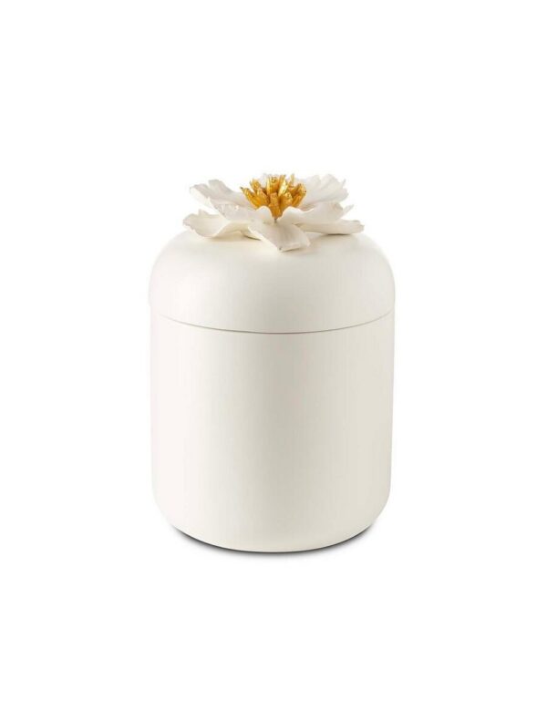 Box Peony - Image 1