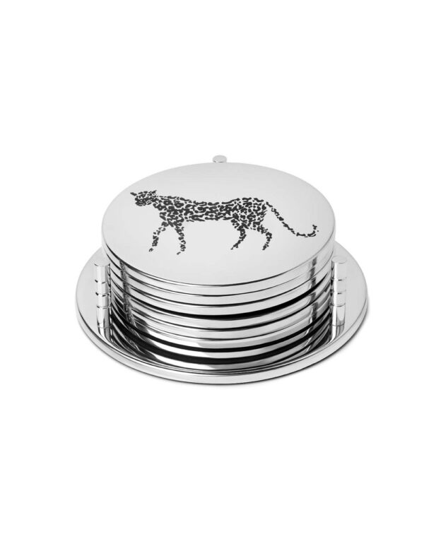 Coaster Cheetah - Image 1