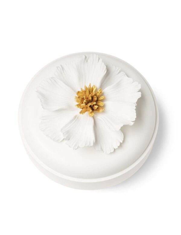 Flat Box Peony - Image 3