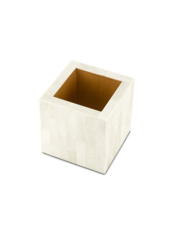 Box Bone Large - Image 2