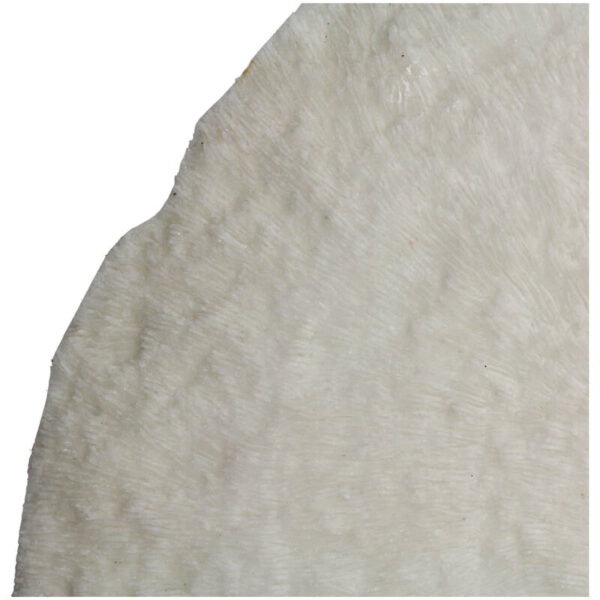 Wall Plaque Sandstone Ivory - Image 5