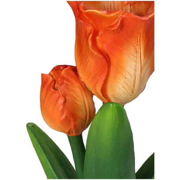 Candle Stick Tulip - Image 3