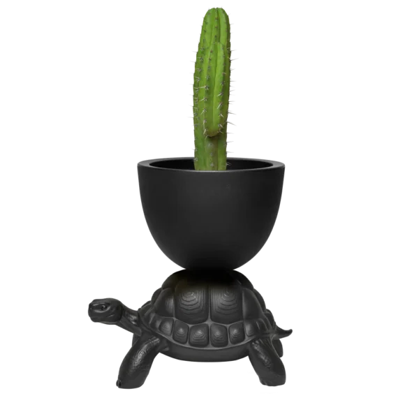 Turtle Carry Planter/champagne black - Image 2