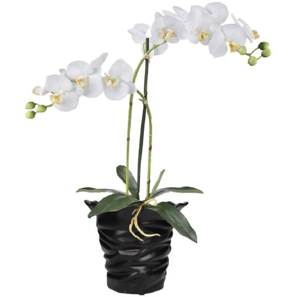 Planter Black - Image 3