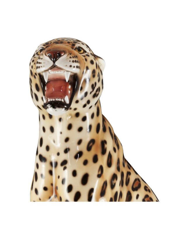 Leopard - Image 2