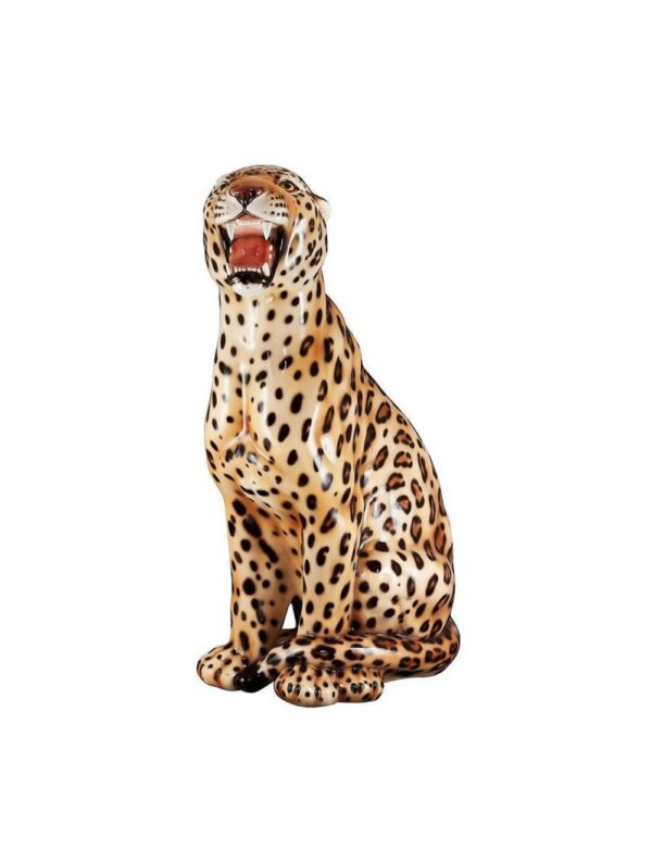 Leopard - Image 1