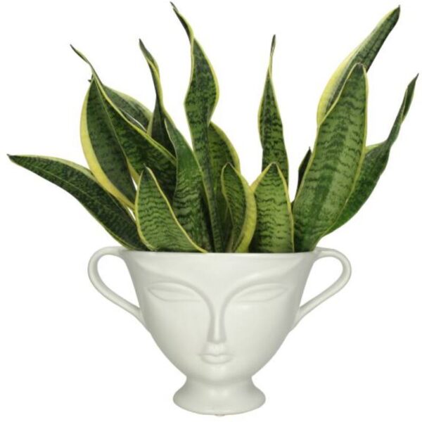 Planter Face White - Image 4