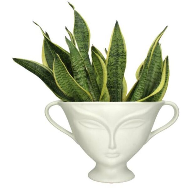 Planter Face White - Image 2